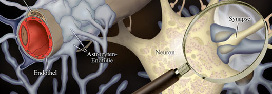 research image research image